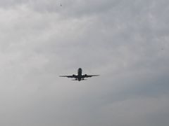 -空港花田景区