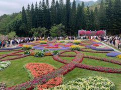 -深圳仙湖植物园