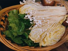 -同仁四季椰子鸡(宝安壹方城店)