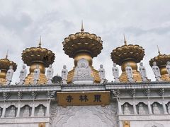 -上海东林寺(金山区)