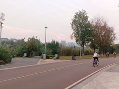 -白鹭湾湿地公园