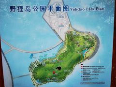 -野狸岛