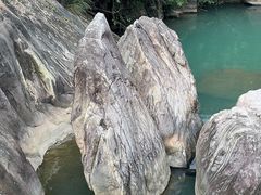 -广州白江湖森林公园