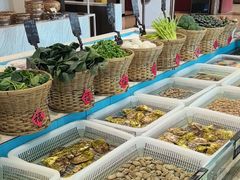 -莆鑫海鲜城(浏河店)