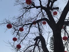 -八大处公园