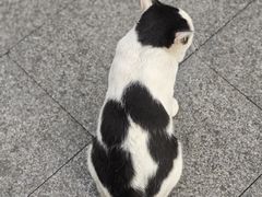 -重庆麻辣烫(国权路店)