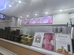 -雾与山茶(大禹城店)