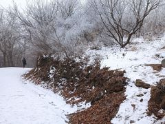 -香山公园