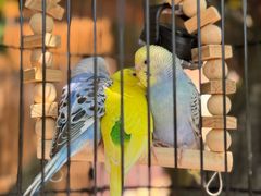 -一品烧农庄·佛山本地特色菜