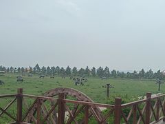 -坝上草原大汗行宫旅游景区