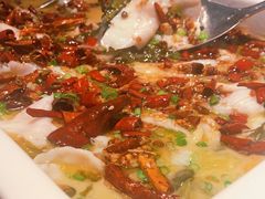 -江湖情酸菜鱼(万菱汇店)