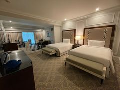 -澳门威尼斯人综合度假区