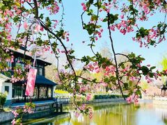 -莫愁湖公园