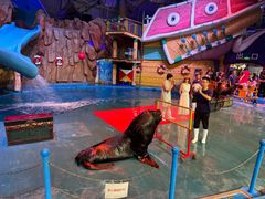 -烟台海昌鲸鲨海洋公园