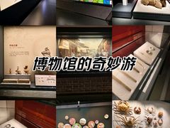 -四川大学博物馆