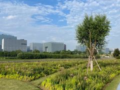 -春花秋色城市公园