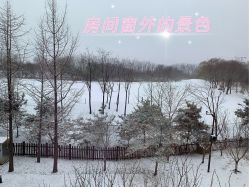 -来康月子中心