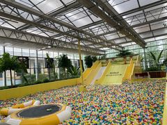 -南宫五洲植物乐园