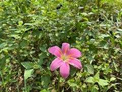 -白鹭湾湿地公园