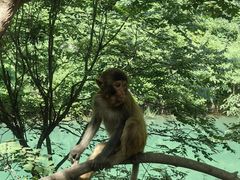 -山西通天峡景区