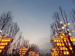 -青龙湖公园