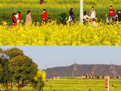 -光明小镇欢乐田园