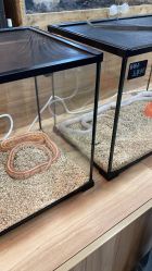 -Moni星球萌宠·小马宝莉·灵蛇·高端高阶全萌宠互动体验俱乐部(红豆国际广场店)