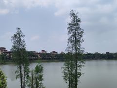 -美的鹭湖森林度假区
