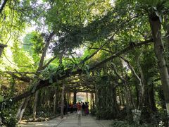 -广西壮族自治区药用植物园