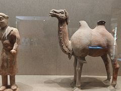 -敦煌市博物馆