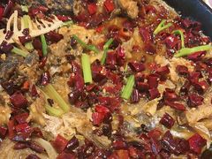 -老板恋上鱼(印象城店)