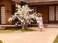 -玫瑰海岸文化旅游度假区