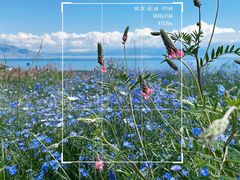 -赛里木湖风景名胜区