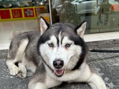 -新丰小吃(中山中路分店)