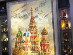 -谢列梅捷沃国际机场