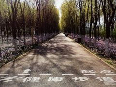 -东郊湿地公园
