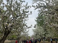 -元大都城垣遗址公园