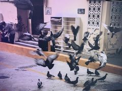 -chi K11艺术空间展览厅