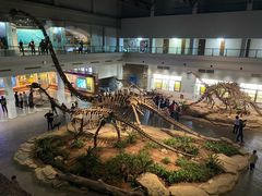 -自贡恐龙博物馆