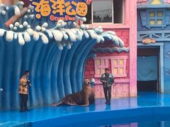 -华夏文旅海洋公园