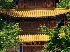 -沈阳植物园