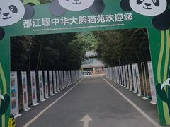 -都江堰中华大熊猫苑