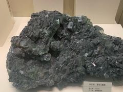 -天津自然博物馆
