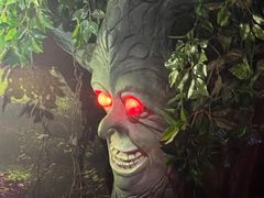 -逃脱反斗城沉浸剧情密室(北京路店)