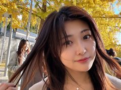 -三里屯东五街银杏大道