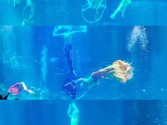 -海合安成都极地海洋公园