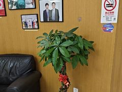 -雅悦齿科(顾村公园店)