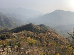 -大岭沟猕猴桃谷风景区