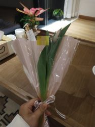 -ANNIL安奈尔·NASX超透白·科技抗衰·问题性肌肤管理