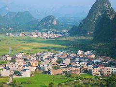 -会仙湿地
